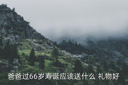 爸爸过66岁寿诞应该送什么 礼物好